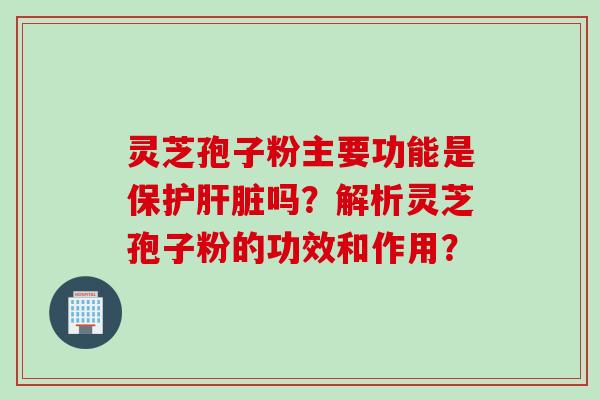 灵芝孢子粉主要功能是保护吗？解析灵芝孢子粉的功效和作用？