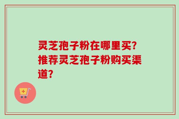 灵芝孢子粉在哪里买？推荐灵芝孢子粉购买渠道？