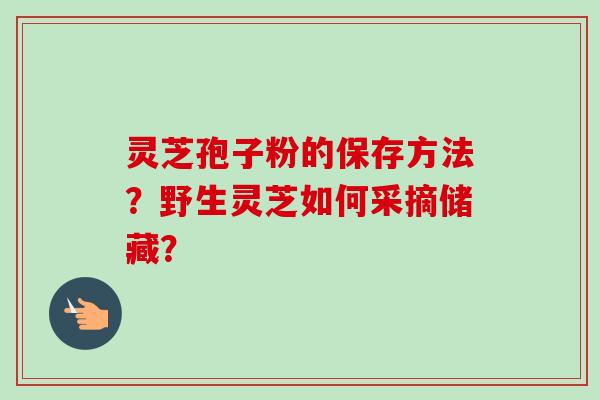 灵芝孢子粉的保存方法？野生灵芝如何采摘储藏？