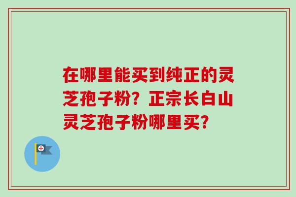 在哪里能买到纯正的灵芝孢子粉？正宗长白山灵芝孢子粉哪里买？