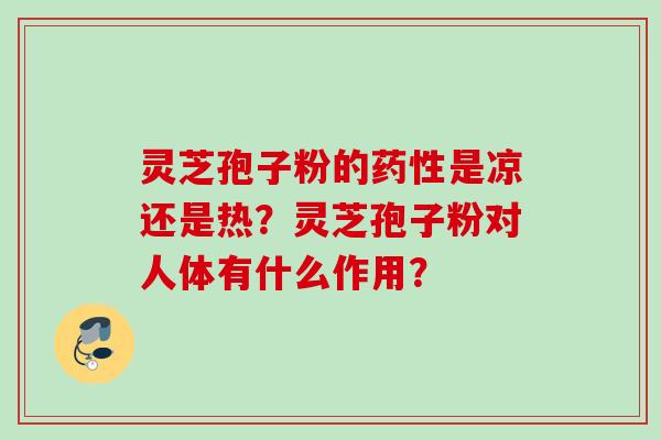 灵芝孢子粉的药性是凉还是热？灵芝孢子粉对人体有什么作用？