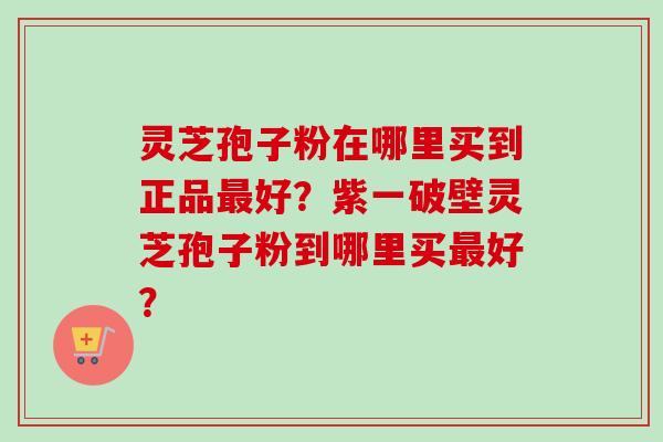 灵芝孢子粉在哪里买到正品最好？紫一破壁灵芝孢子粉到哪里买最好？