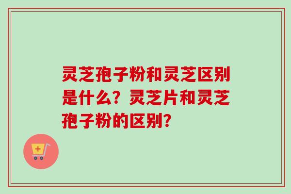 灵芝孢子粉和灵芝区别是什么？灵芝片和灵芝孢子粉的区别？