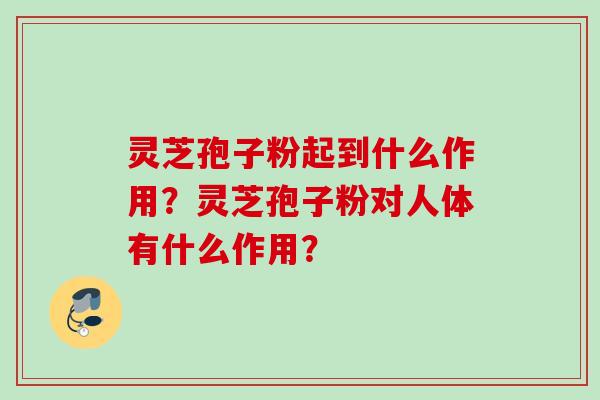 灵芝孢子粉起到什么作用？灵芝孢子粉对人体有什么作用？