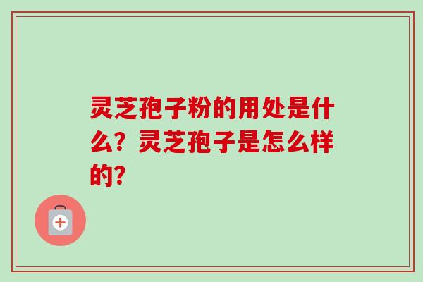 灵芝孢子粉的用处是什么？灵芝孢子是怎么样的？