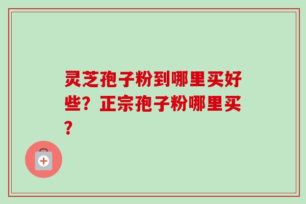 灵芝孢子粉到哪里买好些？正宗孢子粉哪里买？