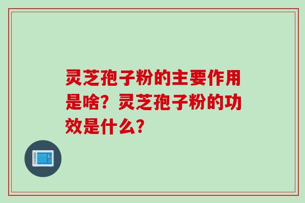 灵芝孢子粉的主要作用是啥？灵芝孢子粉的功效是什么？