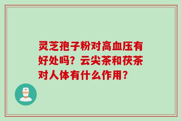 灵芝孢子粉对高血压有好处吗？云尖茶和茯茶对人体有什么作用？