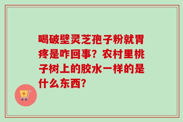 喝破壁灵芝孢子粉就胃疼是咋回事？农村里桃子树上的胶水一样的是什么东西？