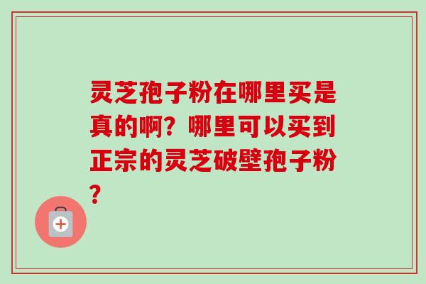 灵芝孢子粉在哪里买是真的啊？哪里可以买到正宗的灵芝破壁孢子粉？