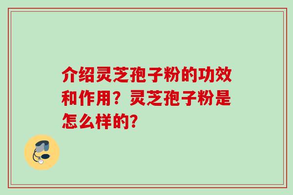 介绍灵芝孢子粉的功效和作用？灵芝孢子粉是怎么样的？