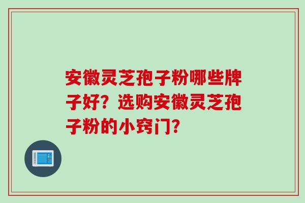 安徽灵芝孢子粉哪些牌子好？选购安徽灵芝孢子粉的小窍门？