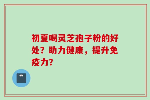 初夏喝灵芝孢子粉的好处？助力健康，提升免疫力？