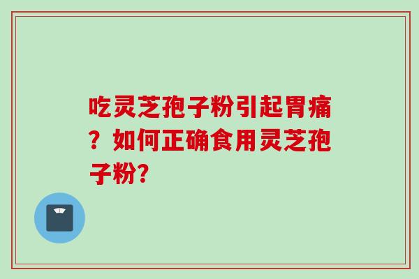 吃灵芝孢子粉引起胃痛？如何正确食用灵芝孢子粉？