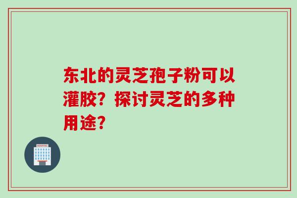 东北的灵芝孢子粉可以灌胶？探讨灵芝的多种用途？