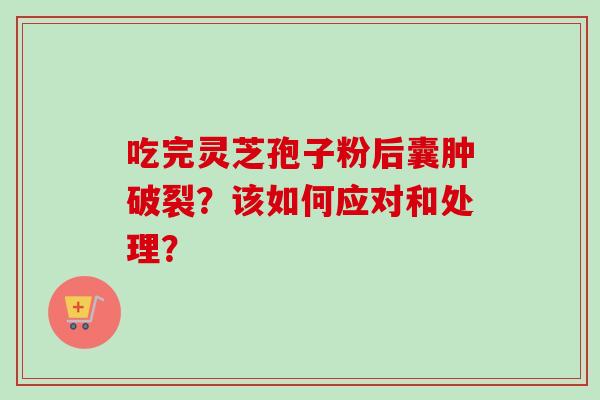 吃完灵芝孢子粉后囊肿破裂？该如何应对和处理？