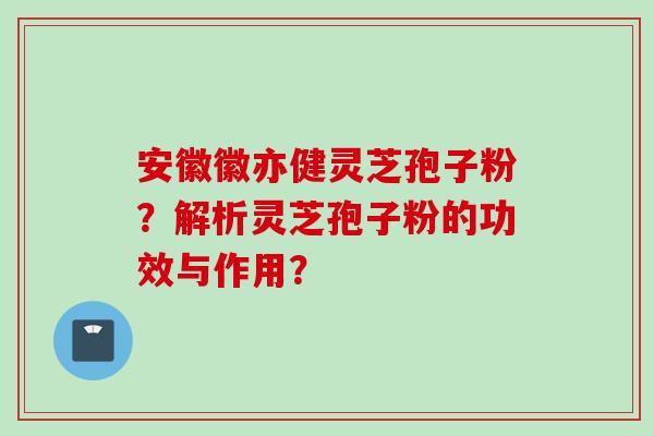 安徽徽亦健灵芝孢子粉？解析灵芝孢子粉的功效与作用？