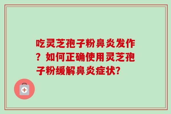 吃灵芝孢子粉鼻炎发作？如何正确使用灵芝孢子粉缓解鼻炎症状？