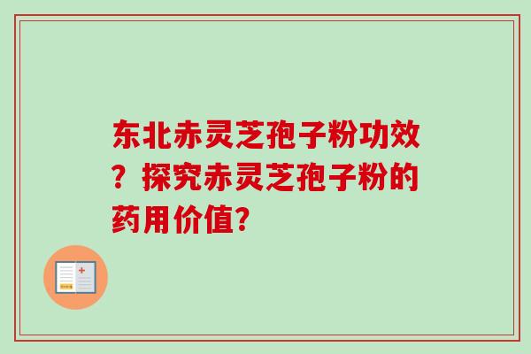 东北赤灵芝孢子粉功效？探究赤灵芝孢子粉的药用价值？