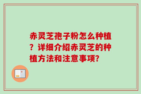 赤灵芝孢子粉怎么种植？详细介绍赤灵芝的种植方法和注意事项？