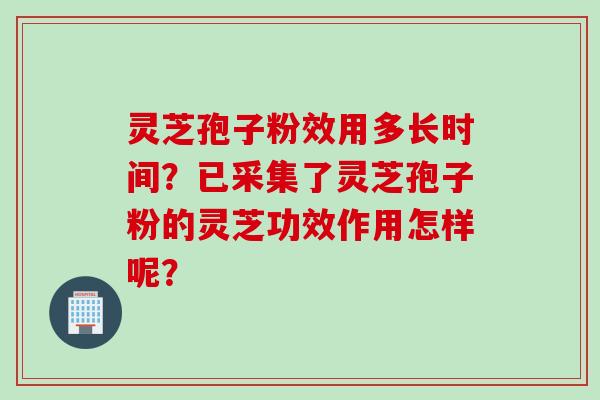 灵芝孢子粉效用多长时间？已采集了灵芝孢子粉的灵芝功效作用怎样呢？