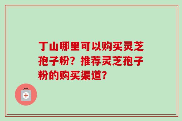 丁山哪里可以购买灵芝孢子粉？推荐灵芝孢子粉的购买渠道？