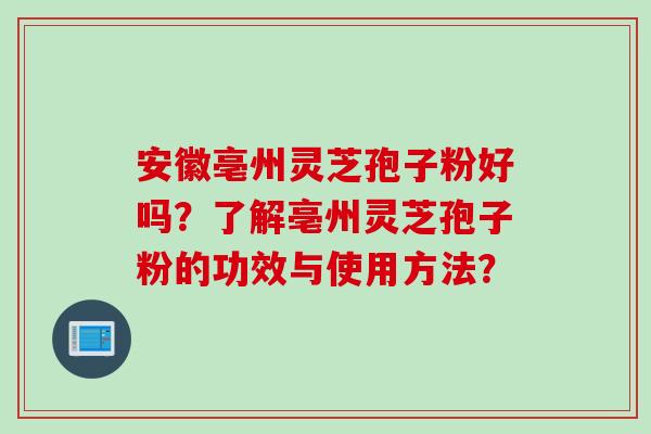 安徽亳州灵芝孢子粉好吗？了解亳州灵芝孢子粉的功效与使用方法？