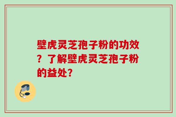 壁虎灵芝孢子粉的功效？了解壁虎灵芝孢子粉的益处？