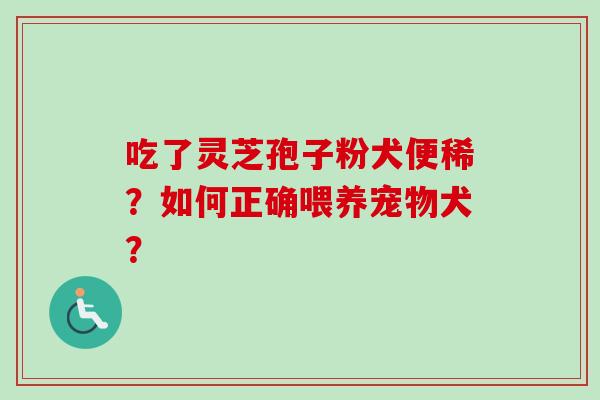 吃了灵芝孢子粉犬便稀？如何正确喂养宠物犬？