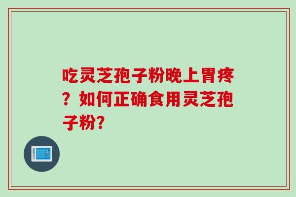 吃灵芝孢子粉晚上胃疼？如何正确食用灵芝孢子粉？