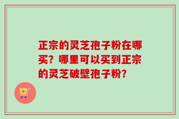 正宗的灵芝孢子粉在哪买？哪里可以买到正宗的灵芝破壁孢子粉？