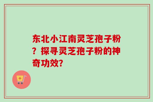 东北小江南灵芝孢子粉？探寻灵芝孢子粉的神奇功效？