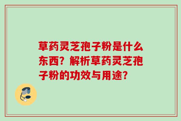 草药灵芝孢子粉是什么东西？解析草药灵芝孢子粉的功效与用途？