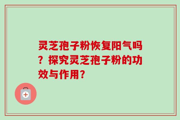 灵芝孢子粉恢复阳气吗？探究灵芝孢子粉的功效与作用？