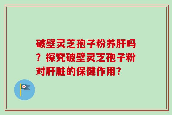 破壁灵芝孢子粉养肝吗？探究破壁灵芝孢子粉对肝脏的保健作用？