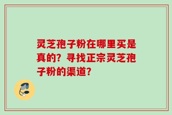灵芝孢子粉在哪里买是真的？寻找正宗灵芝孢子粉的渠道？