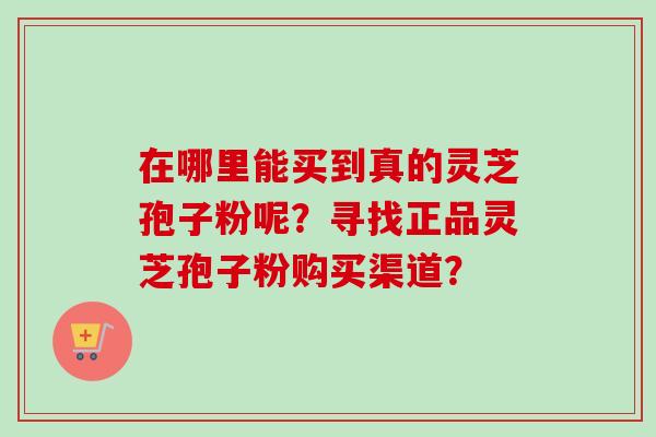 在哪里能买到真的灵芝孢子粉呢？寻找正品灵芝孢子粉购买渠道？