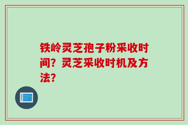 铁岭灵芝孢子粉采收时间？灵芝采收时机及方法？