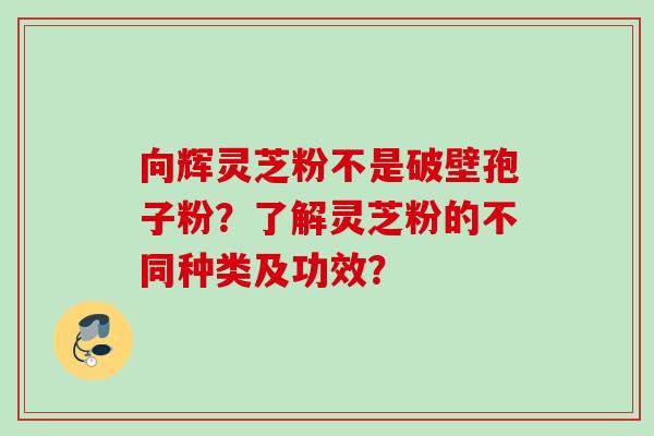 向辉灵芝粉不是破壁孢子粉？了解灵芝粉的不同种类及功效？