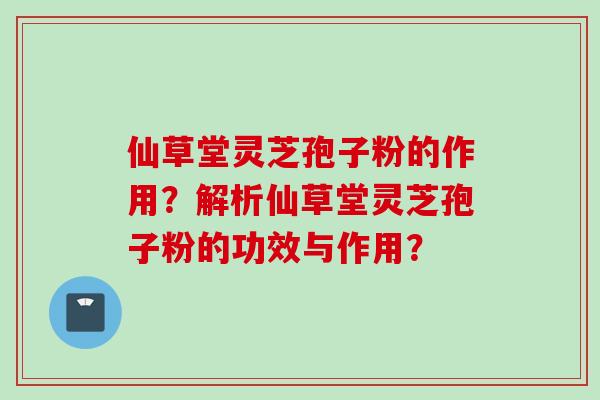 仙草堂灵芝孢子粉的作用？解析仙草堂灵芝孢子粉的功效与作用？