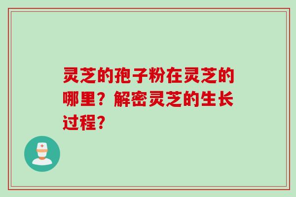 灵芝的孢子粉在灵芝的哪里？解密灵芝的生长过程？