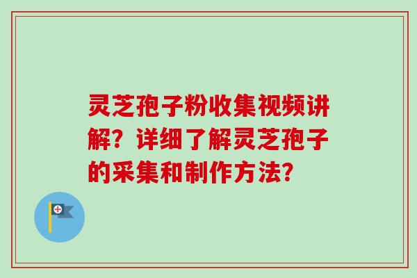灵芝孢子粉收集视频讲解？详细了解灵芝孢子的采集和制作方法？