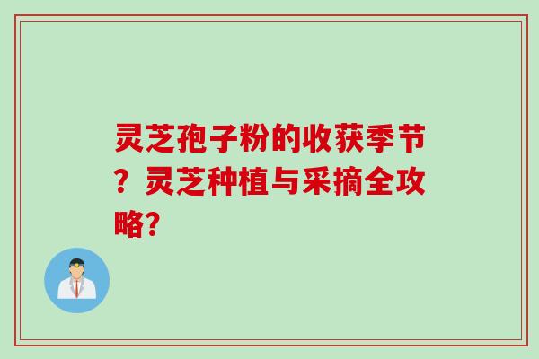 灵芝孢子粉的收获季节？灵芝种植与采摘全攻略？