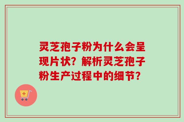 灵芝孢子粉为什么会呈现片状？解析灵芝孢子粉生产过程中的细节？