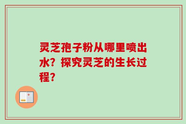 灵芝孢子粉从哪里喷出水？探究灵芝的生长过程？