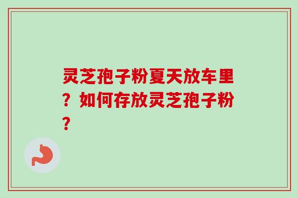 灵芝孢子粉夏天放车里？如何存放灵芝孢子粉？