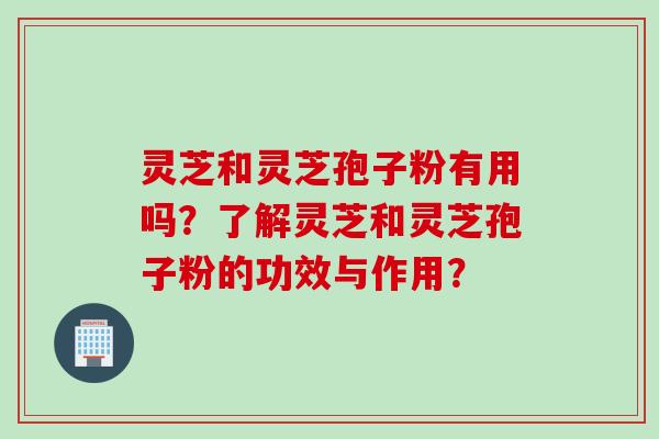 灵芝和灵芝孢子粉有用吗？了解灵芝和灵芝孢子粉的功效与作用？