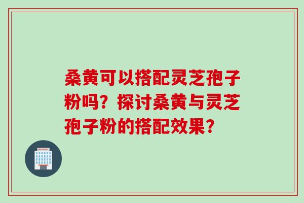 桑黄可以搭配灵芝孢子粉吗？探讨桑黄与灵芝孢子粉的搭配效果？