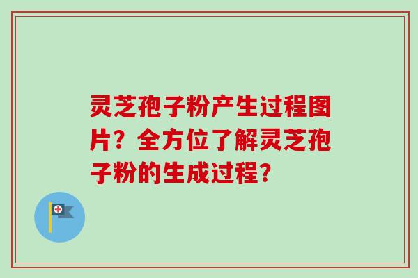 灵芝孢子粉产生过程图片？全方位了解灵芝孢子粉的生成过程？