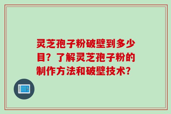 灵芝孢子粉破壁到多少目？了解灵芝孢子粉的制作方法和破壁技术？